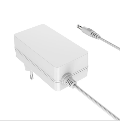 48W Wall-Mount Power Adapter EU Plug