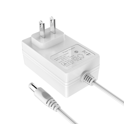 24W Adapter US Plug