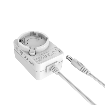 12W Interchangeable Power Adapter